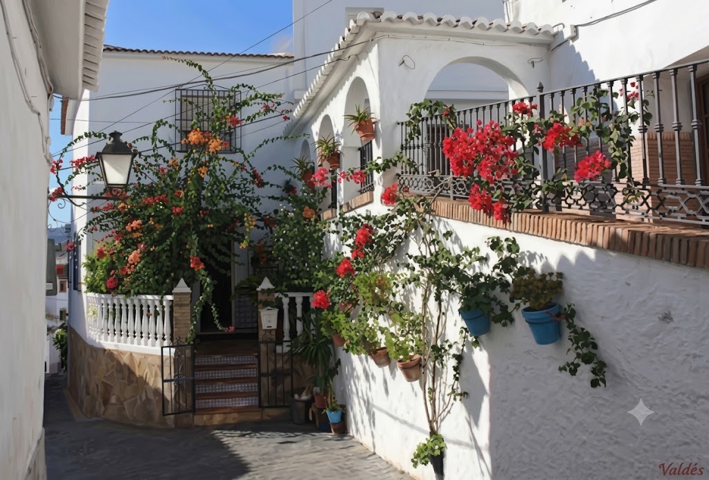 Vista del pueblo de Benamocarra
