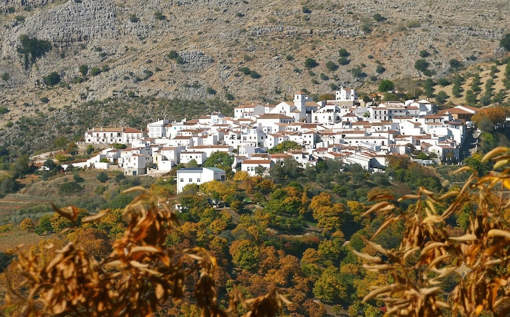 Paisaje natural de Cartajima