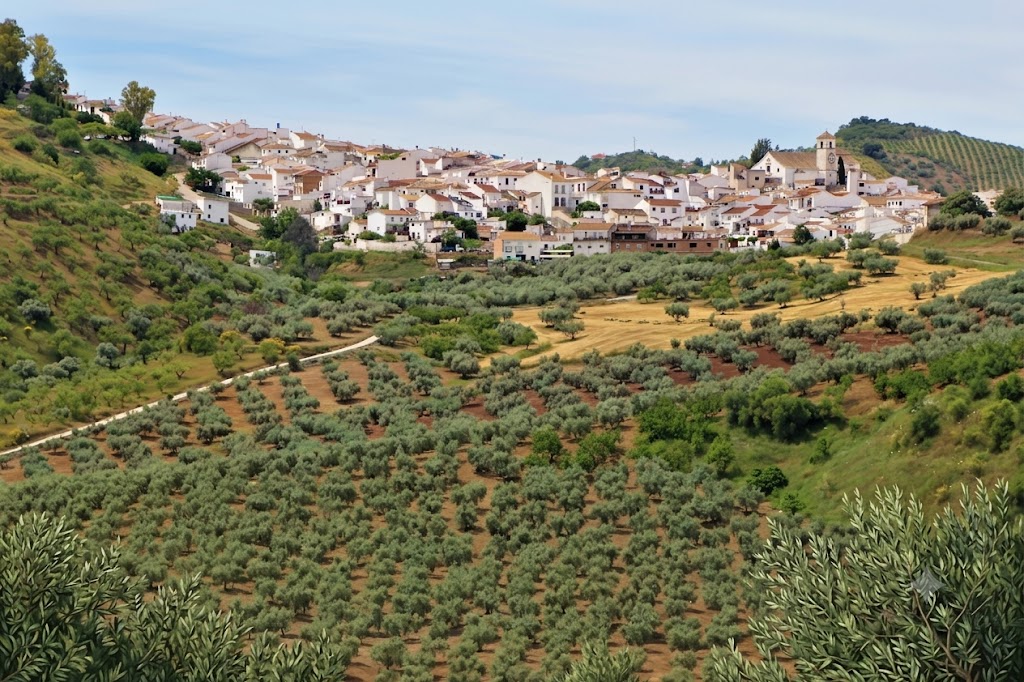 Vista del pueblo de Colmenar