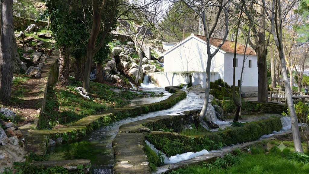 Vista de Cuevas del Becerro