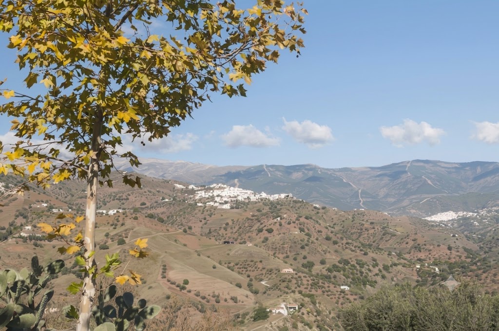 Vista del pueblo de Cútar