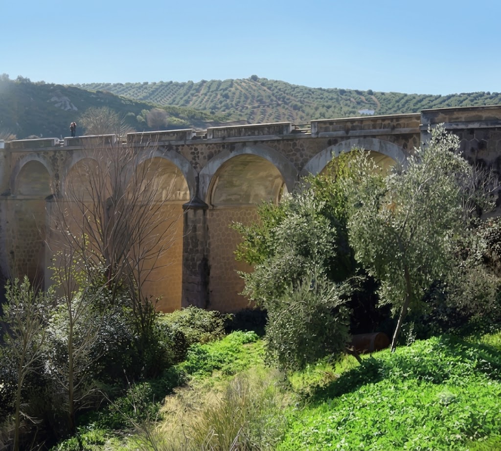 Vista de Villanueva de Algaidas